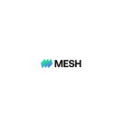 A Spend Management Platform in your Pocket: Mesh Payments Collaborates with Visa to Unveil a Numberless Business Card